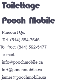  Toilettage Pooch Mobile Pincourt Qc. Tel. (514) 554-7645 Toll free: (844) 592-5477 e-mail. info@poochmobile.ca lori@poochmobile.ca james@poochmobile.ca